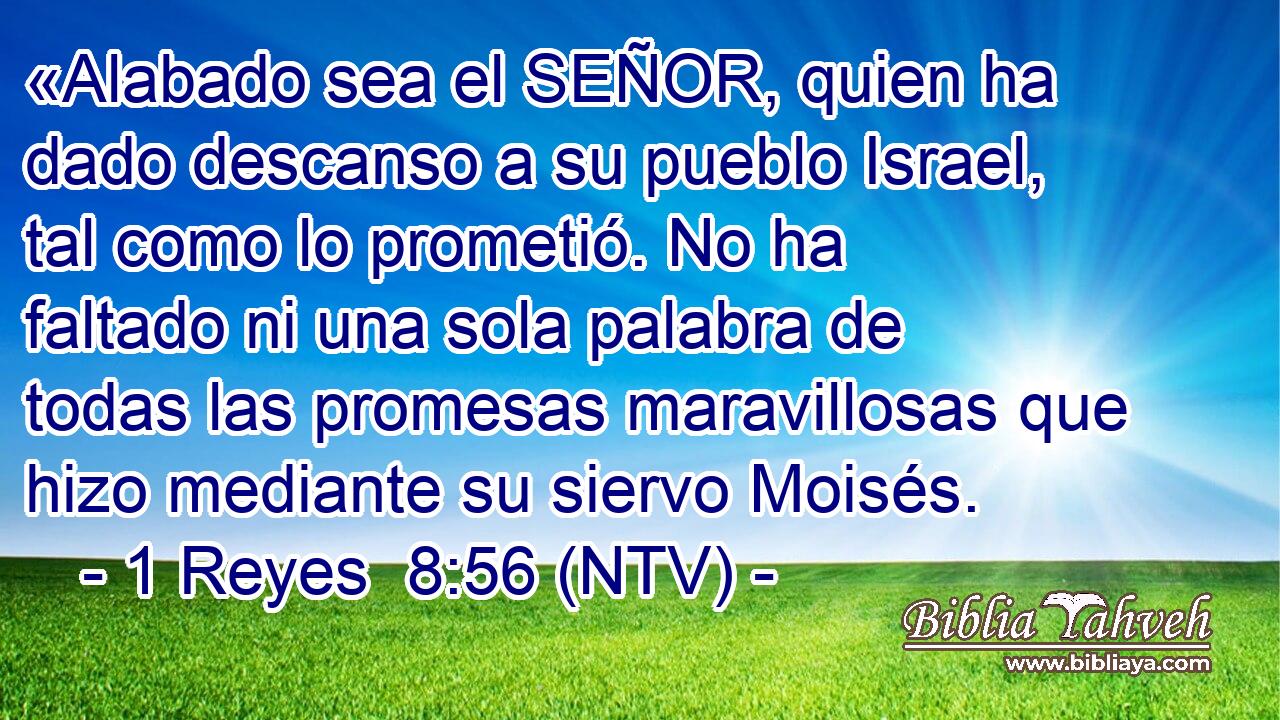 «Alabado sea el SEÑOR, quien ha dado descanso a su pueblo Israel, tal como lo prometió. No ha faltado ni una sola palabra de todas las promesas maravillosas que hizo mediante su siervo Moisés.