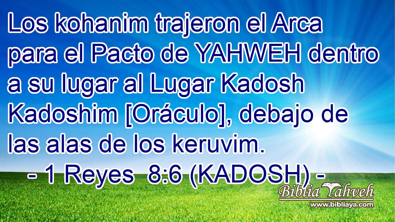  Los kohanim trajeron el Arca para el Pacto de YAHWEH dentro a su lugar al Lugar Kadosh Kadoshim [Oráculo], debajo de las alas de los keruvim. 