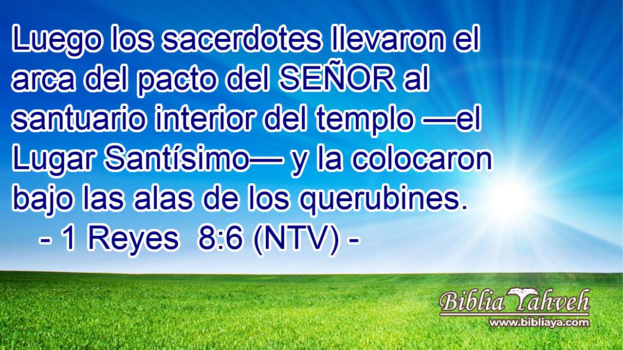 Luego los sacerdotes llevaron el arca del pacto del SEÑOR al santuario interior del templo —el Lugar Santísimo— y la colocaron bajo las alas de los querubines.