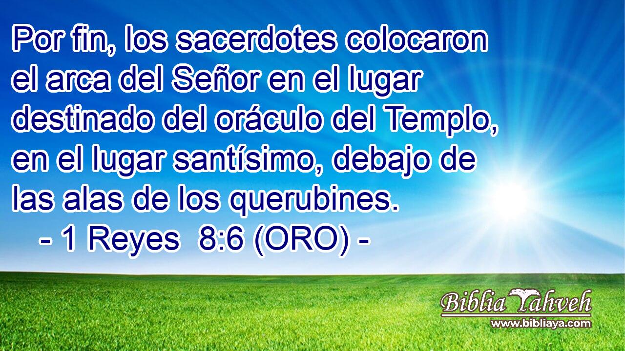  Por fin, los sacerdotes colocaron el arca del Señor en el lugar destinado del oráculo del Templo, en el lugar santísimo, debajo de las alas de los querubines. 