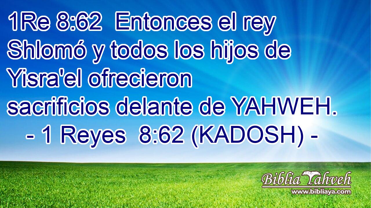  Entonces el rey Shlomó y todos los hijos de Yisra'el ofrecieron sacrificios delante de YAHWEH. 