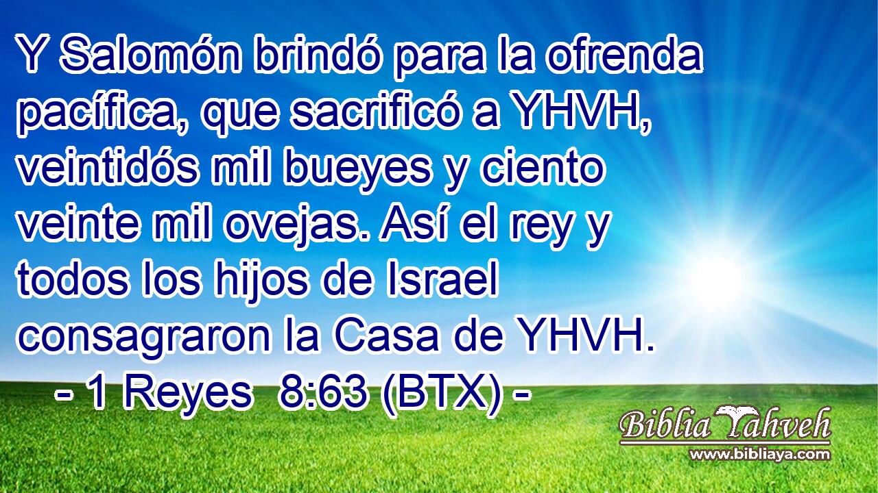 Y Salomón brindó para la ofrenda pacífica, que sacrificó a YHVH, veintidós mil bueyes y ciento veinte mil ovejas. Así el rey y todos los hijos de Israel consagraron la Casa de YHVH.