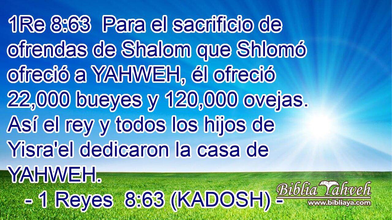  Para el sacrificio de ofrendas de Shalom que Shlomó ofreció a YAHWEH, él ofreció 22,000 bueyes y 120,000 ovejas. Así el rey y todos los hijos de Yisra'el dedicaron la casa de YAHWEH. 