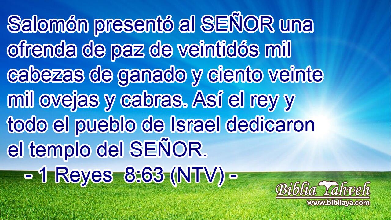 Salomón presentó al SEÑOR una ofrenda de paz de veintidós mil cabezas de ganado y ciento veinte mil ovejas y cabras. Así el rey y todo el pueblo de Israel dedicaron el templo del SEÑOR.