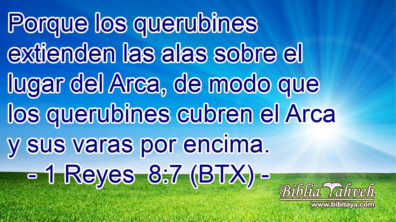 Porque los querubines extienden las alas sobre el lugar del Arca, de modo que los querubines cubren el Arca y sus varas por encima.