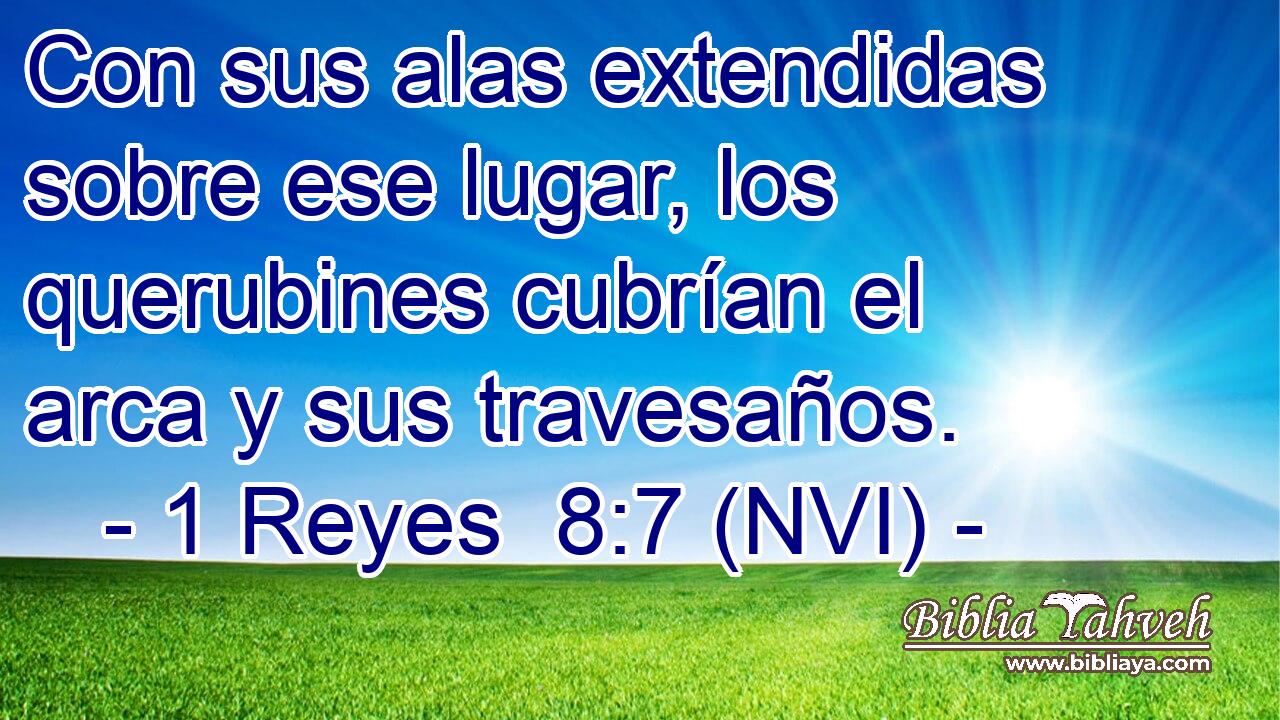  Con sus alas extendidas sobre ese lugar, los querubines cubrían el arca y sus travesaños. 