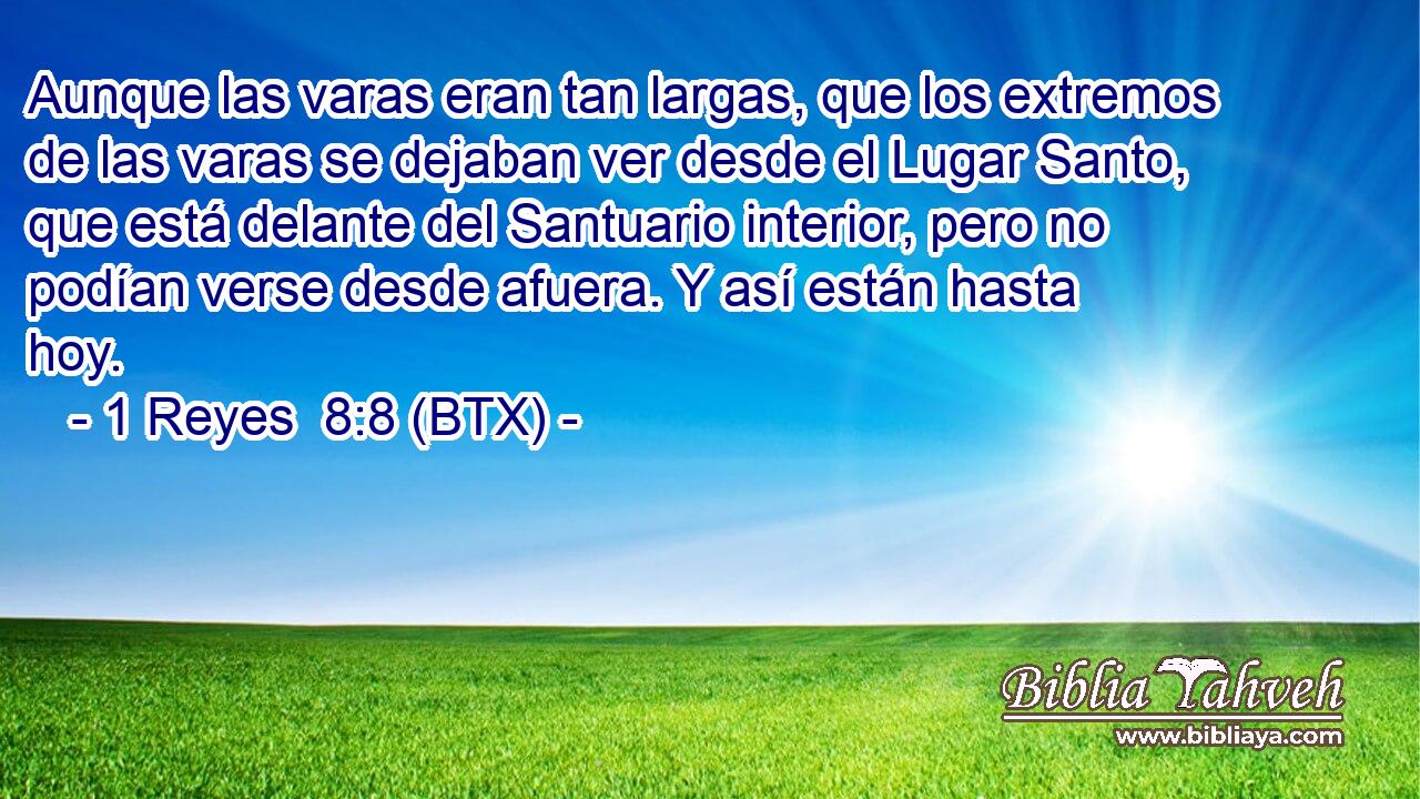 Aunque las varas eran tan largas, que los extremos de las varas se dejaban ver desde el Lugar Santo, que está delante del Santuario interior, pero no podían verse desde afuera. Y así están hasta hoy.