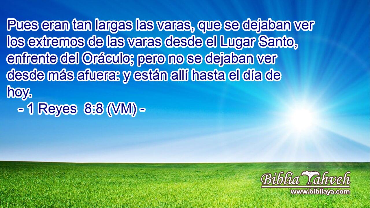  Pues eran tan largas las varas, que se dejaban ver los extremos de las varas desde el Lugar Santo, enfrente del Oráculo; pero no se dejaban ver desde más afuera: y están allí hasta el día de hoy. 