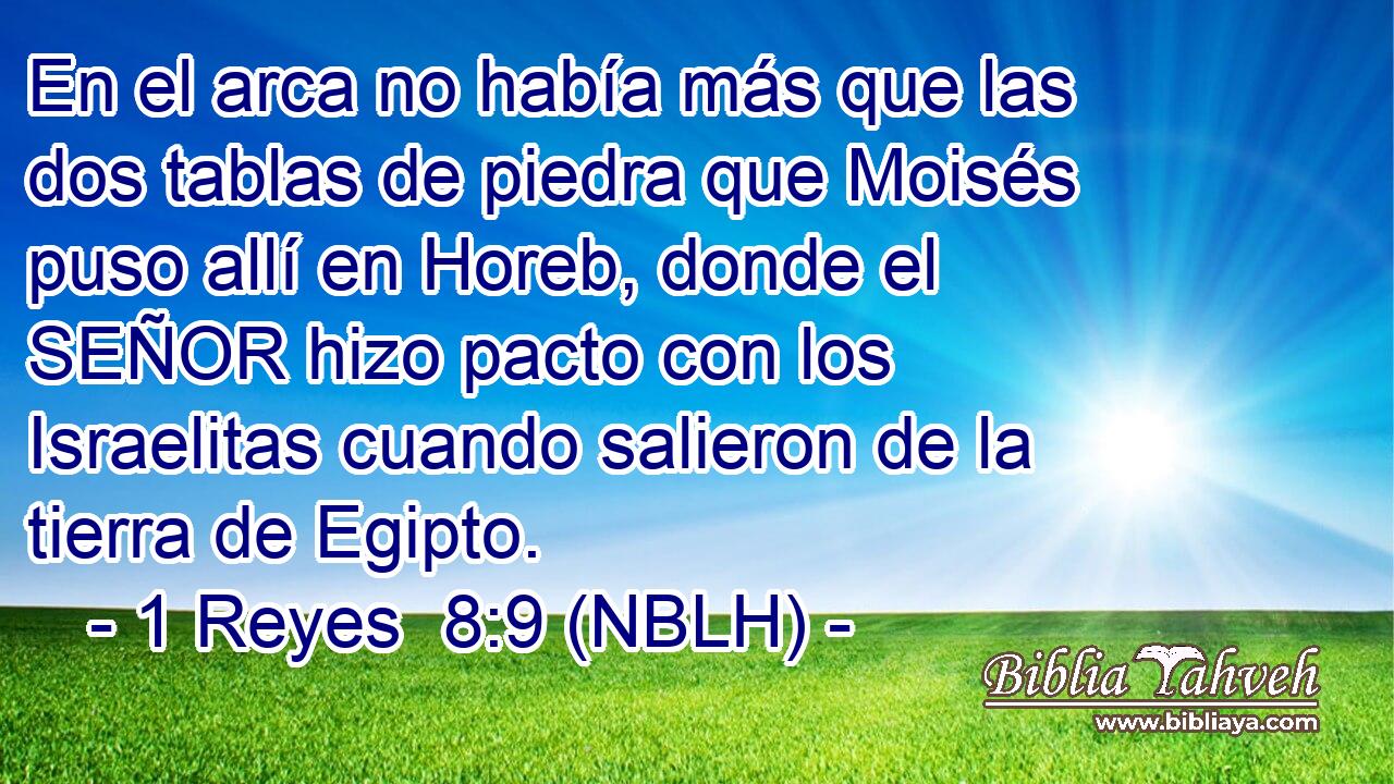  En el arca no había más que las dos tablas de piedra que Moisés puso allí en Horeb, donde el SEÑOR hizo pacto con los Israelitas cuando salieron de la tierra de Egipto. 