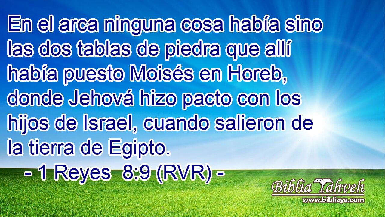 En el arca ninguna cosa había sino las dos tablas de piedra que allí había puesto Moisés en Horeb, donde Jehová hizo pacto con los hijos de Israel, cuando salieron de la tierra de Egipto.
