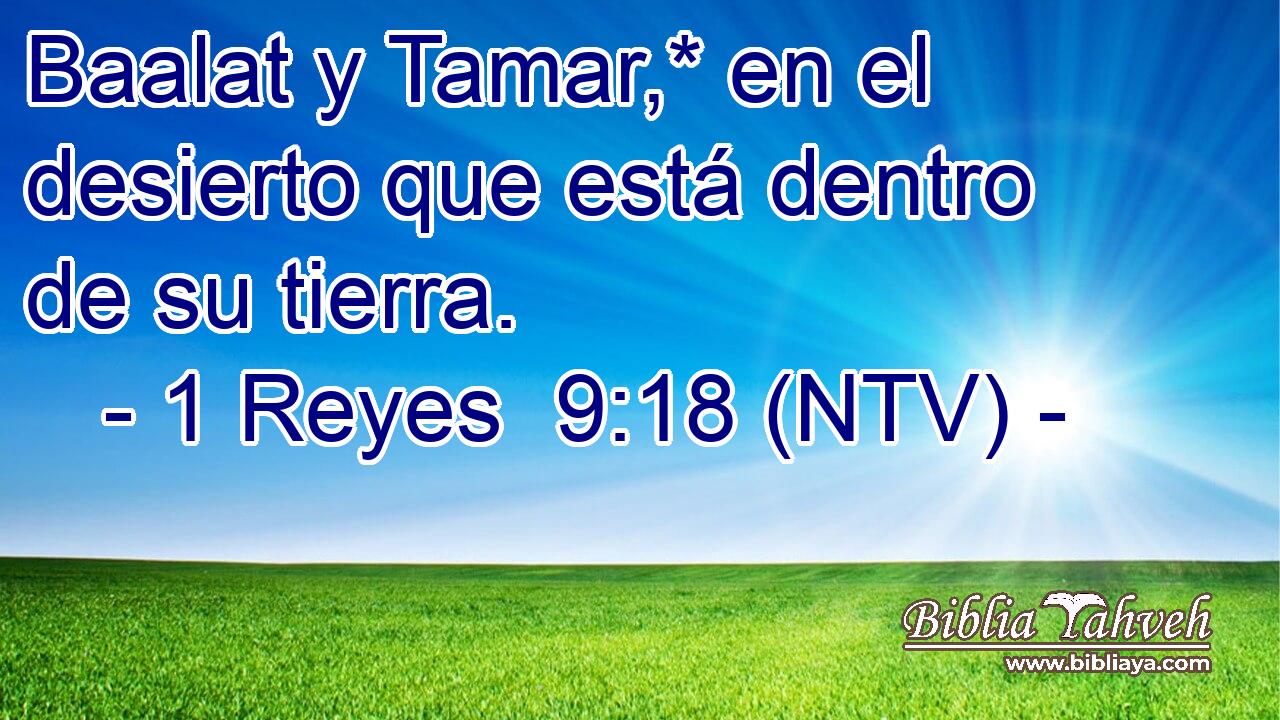 Baalat y Tamar,* en el desierto que está dentro de su tierra.