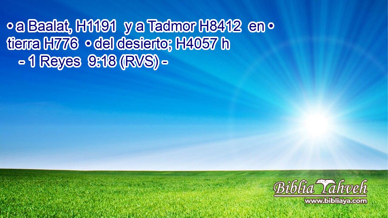 • a Baalat, H1191  y a Tadmor H8412  en • tierra H776  • del desierto; H4057 h 