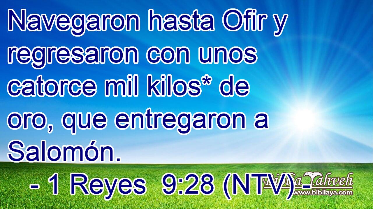 Navegaron hasta Ofir y regresaron con unos catorce mil kilos* de oro, que entregaron a Salomón.