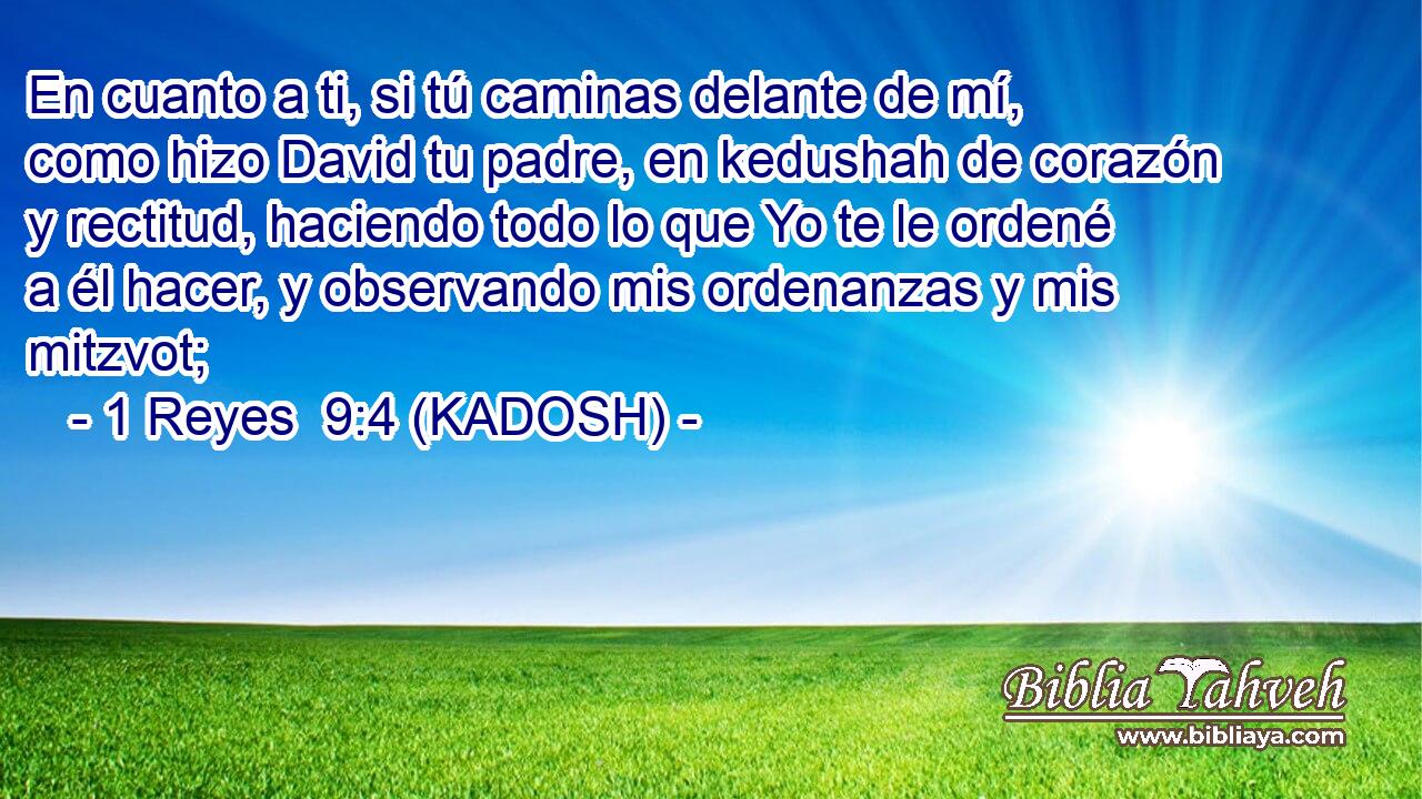  En cuanto a ti, si tú caminas delante de mí, como hizo David tu padre, en kedushah de corazón y rectitud, haciendo todo lo que Yo te le ordené a él hacer, y observando mis ordenanzas y mis mitzvot; 