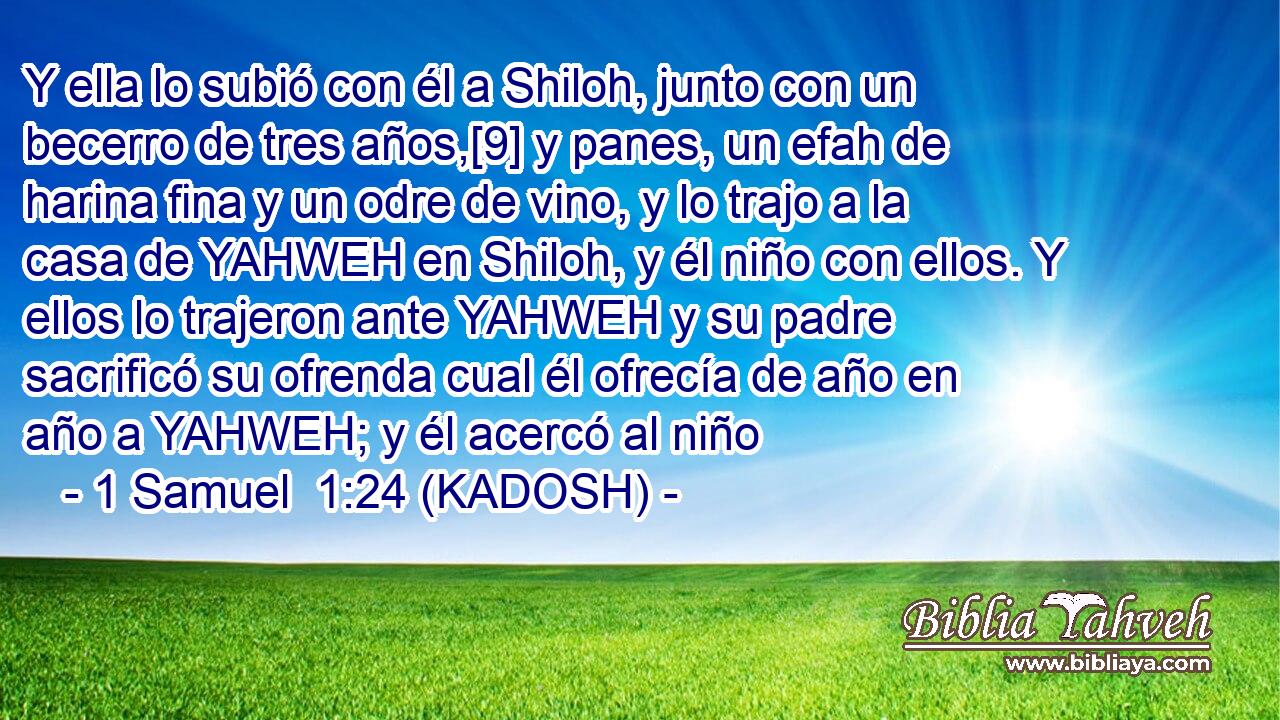  Y ella lo subió con él a Shiloh, junto con un becerro de tres años,[9] y panes, un efah de harina fina y un odre de vino, y lo trajo a la casa de YAHWEH en Shiloh, y él niño con ellos. Y ellos lo trajeron ante YAHWEH y su padre sacrificó su ofrenda cual él ofrecía de año en año a YAHWEH; y él acercó al niño 