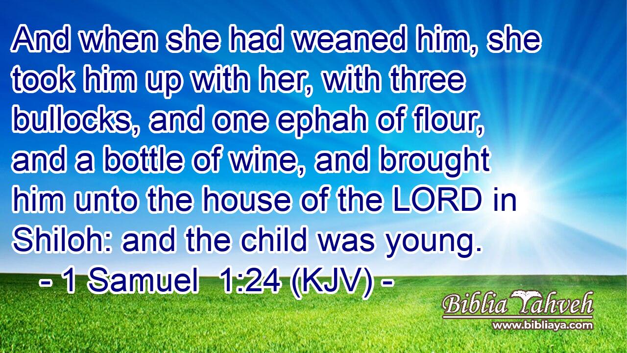 And when she had weaned him, she took him up with her, with three bullocks, and one ephah of flour, and a bottle of wine, and brought him unto the house of the LORD in Shiloh: and the child was young.
