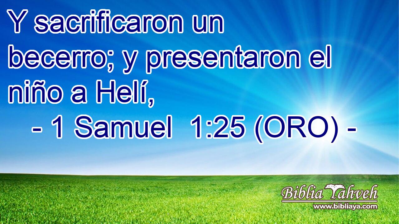  Y sacrificaron un becerro; y presentaron el niño a Helí, 