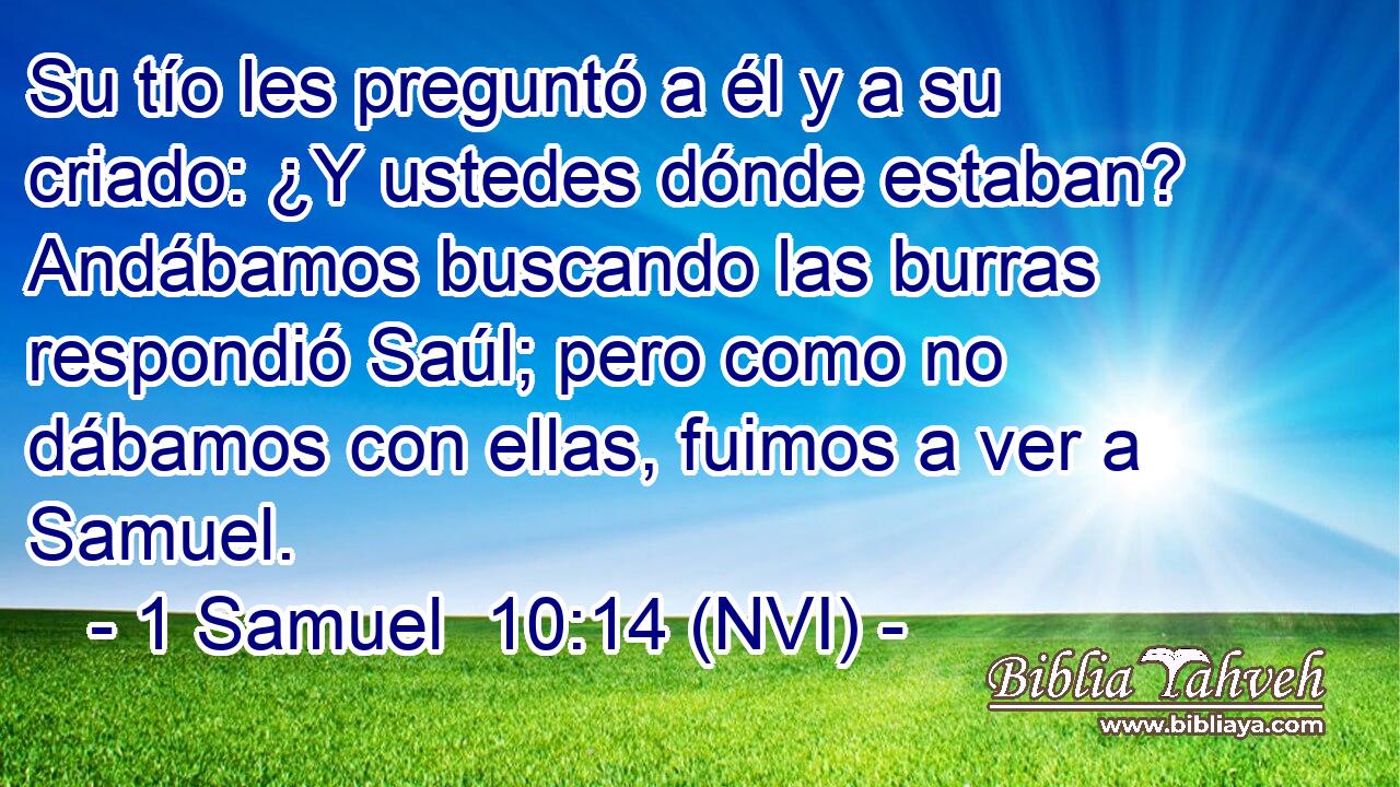  Su tío les preguntó a él y a su criado: ¿Y ustedes dónde estaban? Andábamos buscando las burras respondió Saúl; pero como no dábamos con ellas, fuimos a ver a Samuel. 