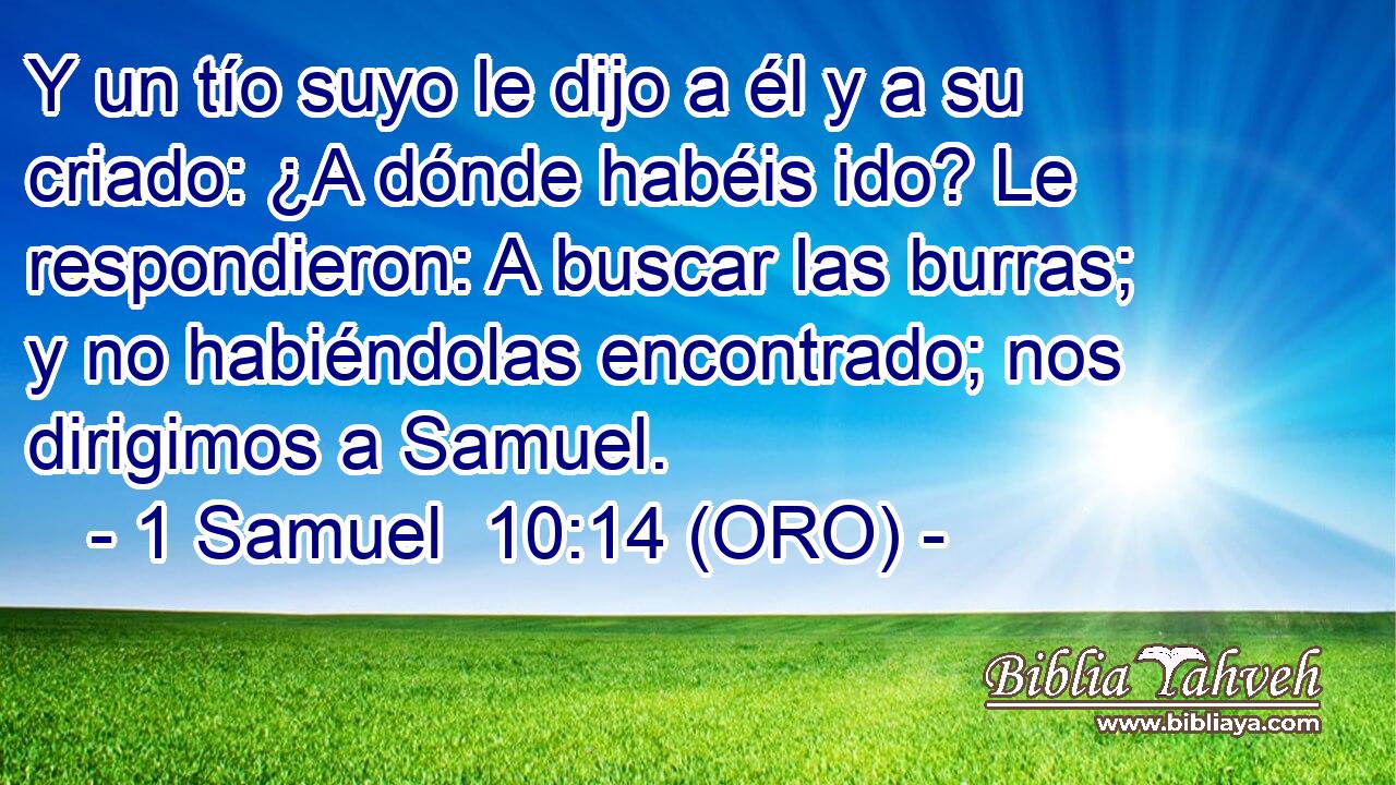  Y un tío suyo le dijo a él y a su criado: ¿A dónde habéis ido? Le respondieron: A buscar las burras; y no habiéndolas encontrado; nos dirigimos a Samuel. 