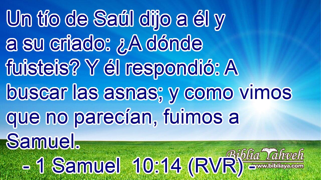 Un tío de Saúl dijo a él y a su criado: ¿A dónde fuisteis? Y él respondió: A buscar las asnas; y como vimos que no parecían, fuimos a Samuel.