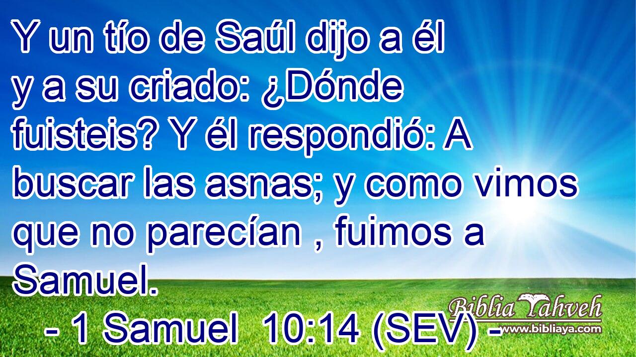 Y un tío de Saúl dijo a él y a su criado: ¿Dónde fuisteis? Y él respondió: A buscar las asnas; y como vimos que no parecían , fuimos a Samuel.