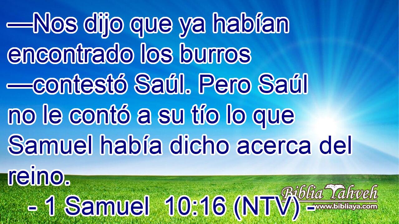 —Nos dijo que ya habían encontrado los burros —contestó Saúl. Pero Saúl no le contó a su tío lo que Samuel había dicho acerca del reino.