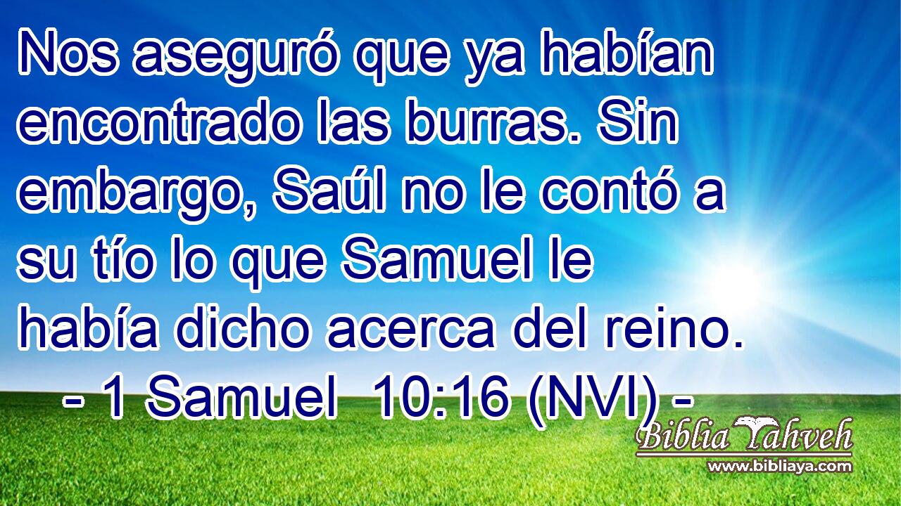  Nos aseguró que ya habían encontrado las burras. Sin embargo, Saúl no le contó a su tío lo que Samuel le había dicho acerca del reino. 