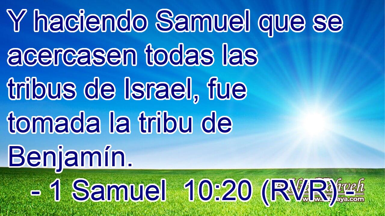 Y haciendo Samuel que se acercasen todas las tribus de Israel, fue tomada la tribu de Benjamín.