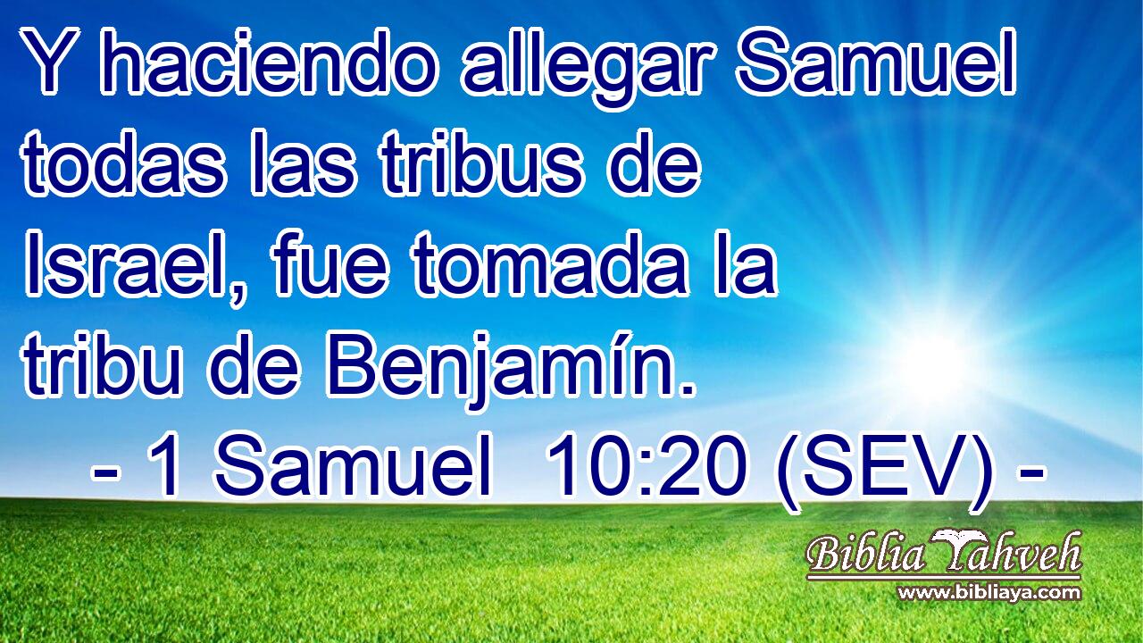 Y haciendo allegar Samuel todas las tribus de Israel, fue tomada la tribu de Benjamín.
