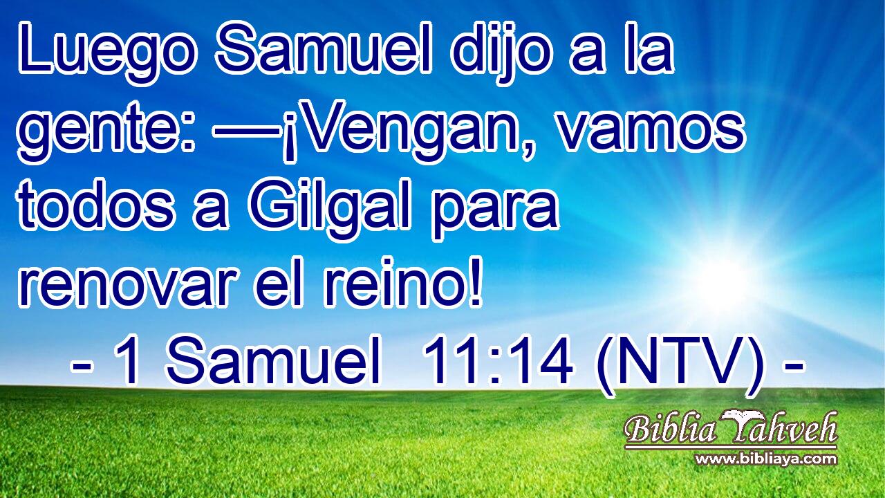 Luego Samuel dijo a la gente: —¡Vengan, vamos todos a Gilgal para renovar el reino!