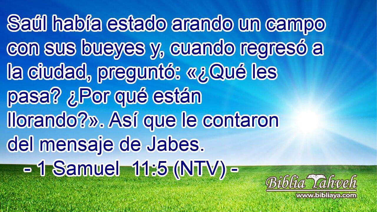 Saúl había estado arando un campo con sus bueyes y, cuando regresó a la ciudad, preguntó: «¿Qué les pasa? ¿Por qué están llorando?». Así que le contaron del mensaje de Jabes.