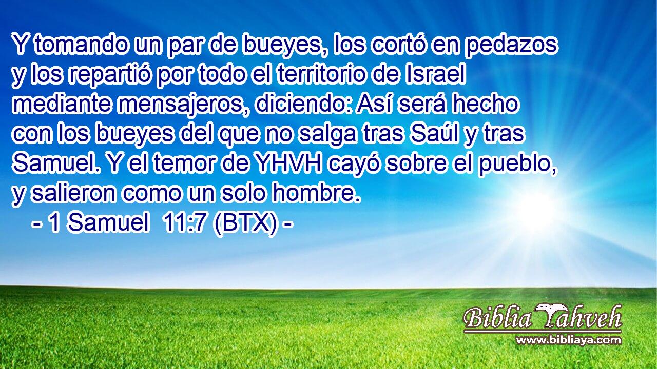 Y tomando un par de bueyes, los cortó en pedazos y los repartió por todo el territorio de Israel mediante mensajeros, diciendo: Así será hecho con los bueyes del que no salga tras Saúl y tras Samuel. Y el temor de YHVH cayó sobre el pueblo, y salieron como un solo hombre.