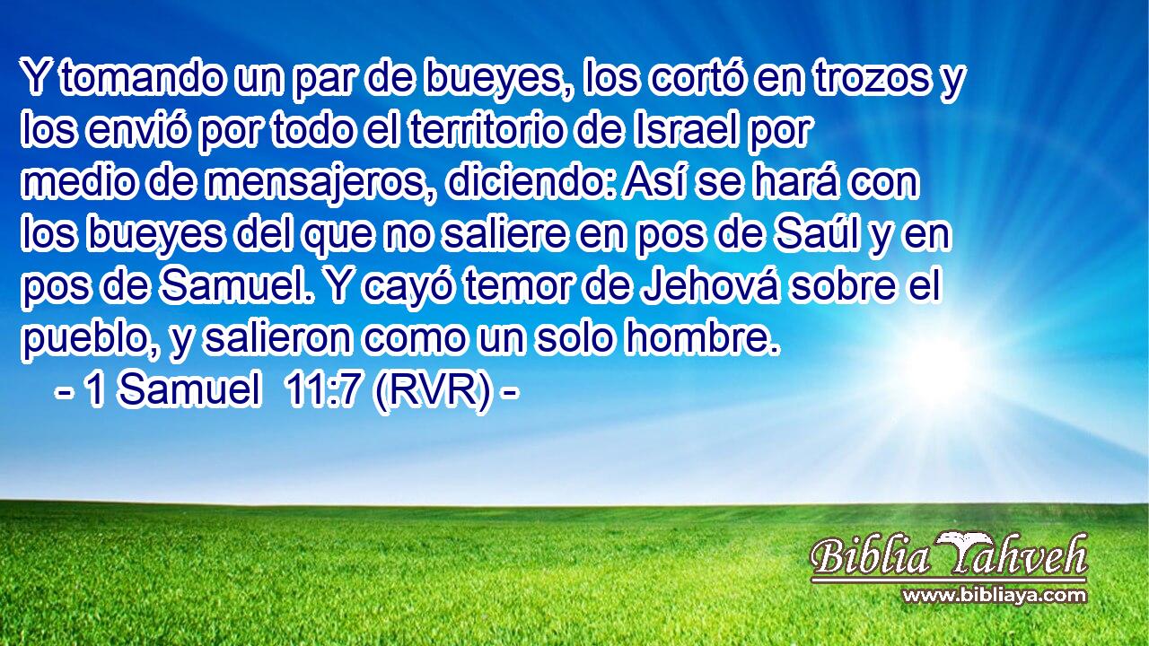Y tomando un par de bueyes, los cortó en trozos y los envió por todo el territorio de Israel por medio de mensajeros, diciendo: Así se hará con los bueyes del que no saliere en pos de Saúl y en pos de Samuel. Y cayó temor de Jehová sobre el pueblo, y salieron como un solo hombre.