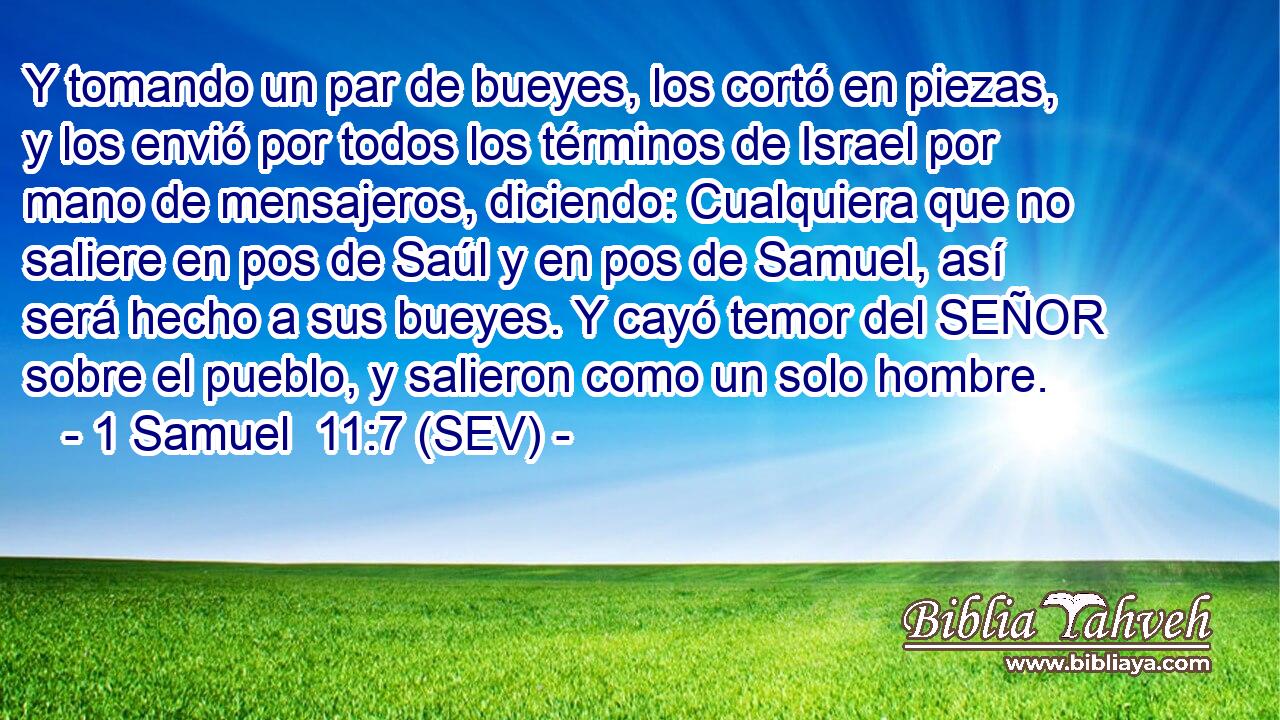 Y tomando un par de bueyes, los cortó en piezas, y los envió por todos los términos de Israel por mano de mensajeros, diciendo: Cualquiera que no saliere en pos de Saúl y en pos de Samuel, así será hecho a sus bueyes. Y cayó temor del SEÑOR sobre el pueblo, y salieron como un solo hombre.
