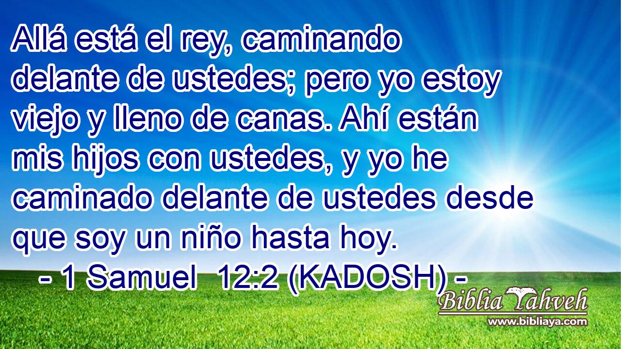  Allá está el rey, caminando delante de ustedes; pero yo estoy viejo y lleno de canas. Ahí están mis hijos con ustedes, y yo he caminado delante de ustedes desde que soy un niño hasta hoy. 