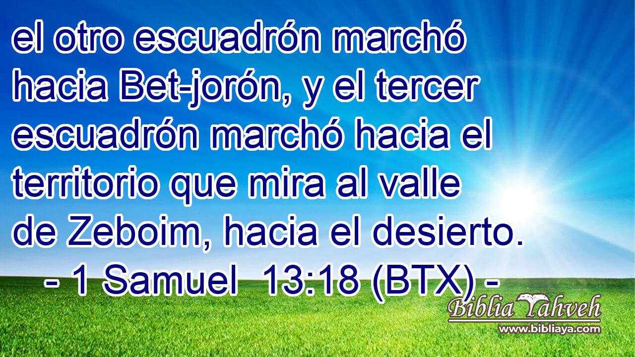 el otro escuadrón marchó hacia Bet-jorón, y el tercer escuadrón marchó hacia el territorio que mira al valle de Zeboim, hacia el desierto.