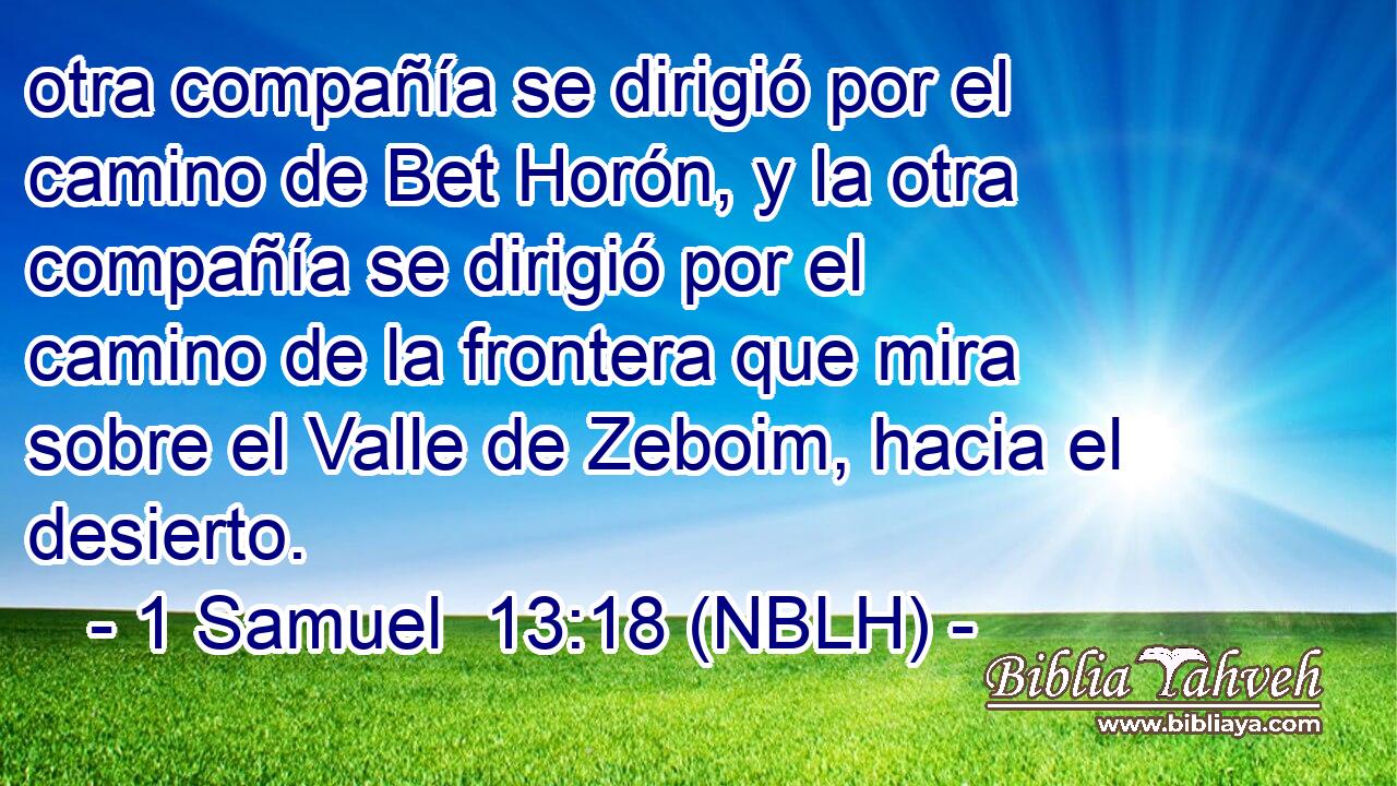  otra compañía se dirigió por el camino de Bet Horón, y la otra compañía se dirigió por el camino de la frontera que mira sobre el Valle de Zeboim, hacia el desierto. 