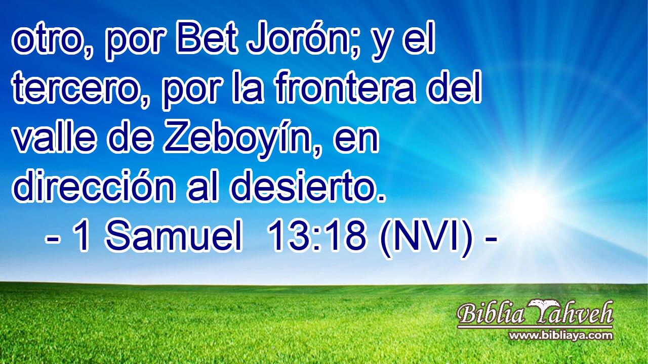  otro, por Bet Jorón; y el tercero, por la frontera del valle de Zeboyín, en dirección al desierto. 