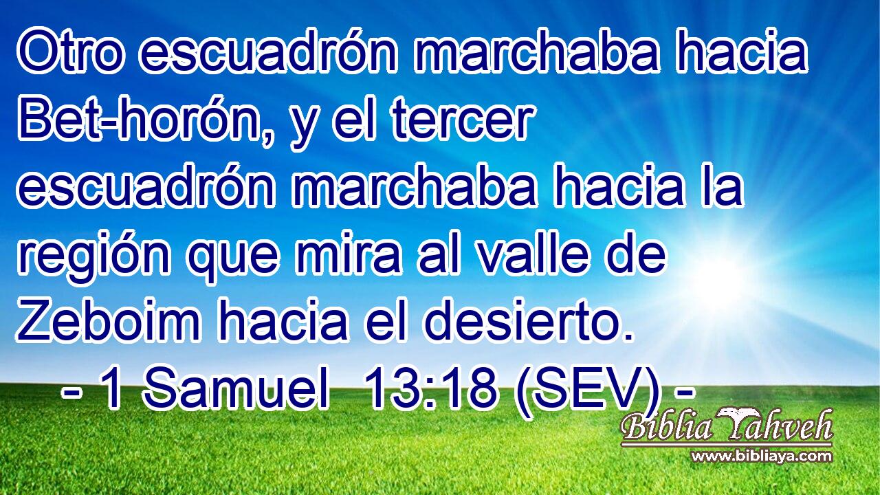 Otro escuadrón marchaba hacia Bet-horón, y el tercer escuadrón marchaba hacia la región que mira al valle de Zeboim hacia el desierto.