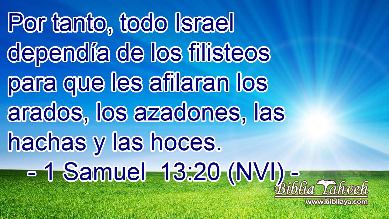  Por tanto, todo Israel dependía de los filisteos para que les afilaran los arados, los azadones, las hachas y las hoces. 
