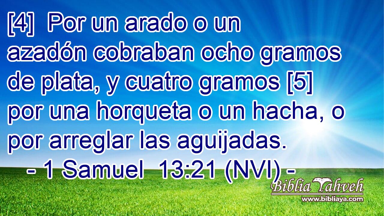  [4]  Por un arado o un azadón cobraban ocho gramos de plata, y cuatro gramos [5] por una horqueta o un hacha, o por arreglar las aguijadas. 