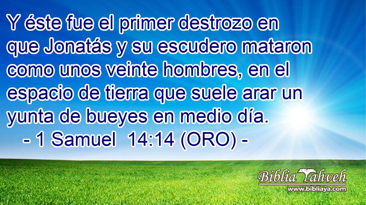  Y éste fue el primer destrozo en que Jonatás y su escudero mataron como unos veinte hombres, en el espacio de tierra que suele arar un yunta de bueyes en medio día. 