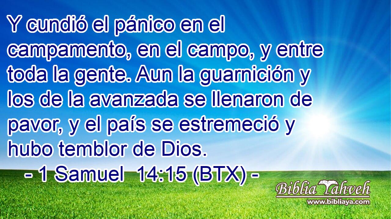 Y cundió el pánico en el campamento, en el campo, y entre toda la gente. Aun la guarnición y los de la avanzada se llenaron de pavor, y el país se estremeció y hubo temblor de Dios.