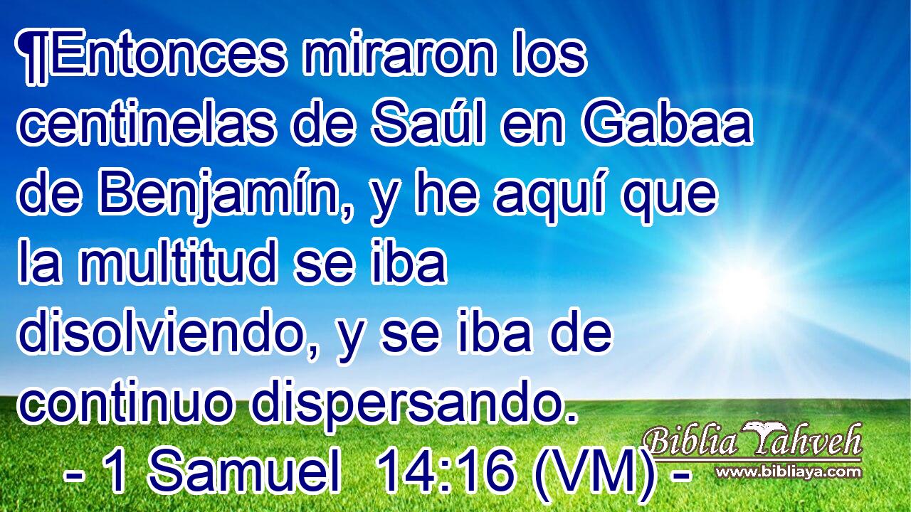  ¶Entonces miraron los centinelas de Saúl en Gabaa de Benjamín, y he aquí que la multitud se iba disolviendo, y se iba de continuo dispersando. 
