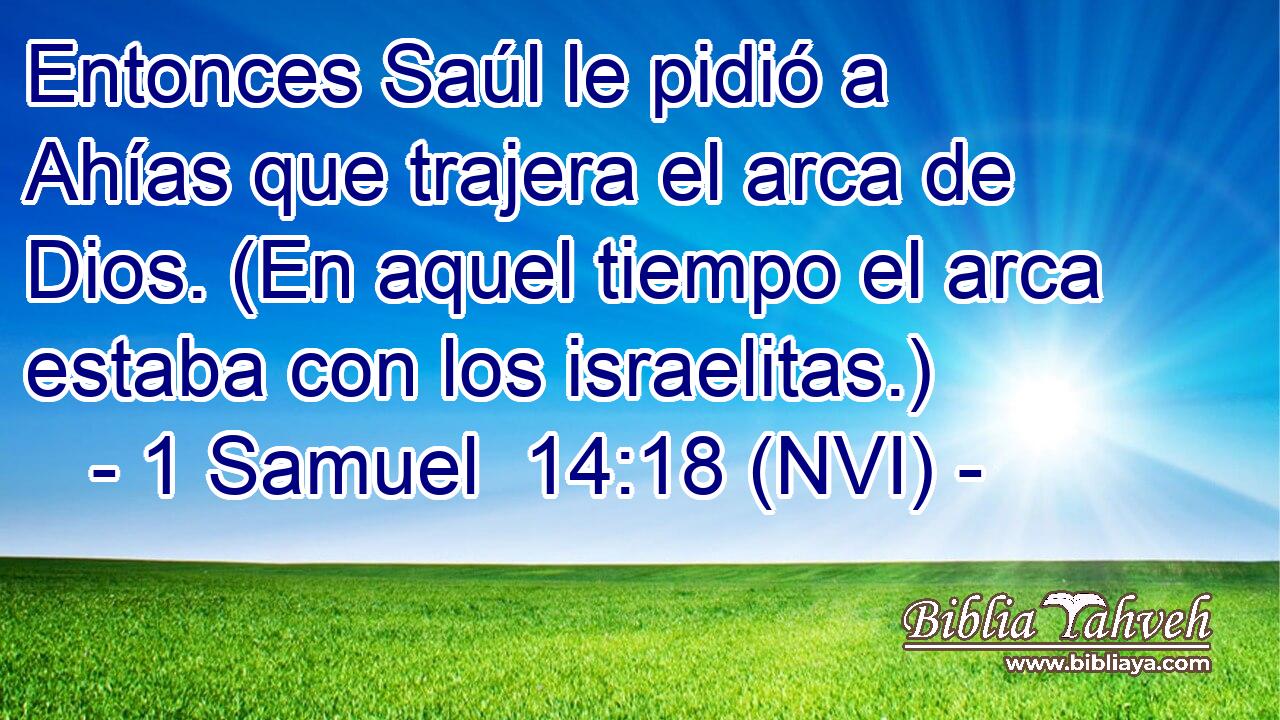  Entonces Saúl le pidió a Ahías que trajera el arca de Dios. (En aquel tiempo el arca estaba con los israelitas.) 