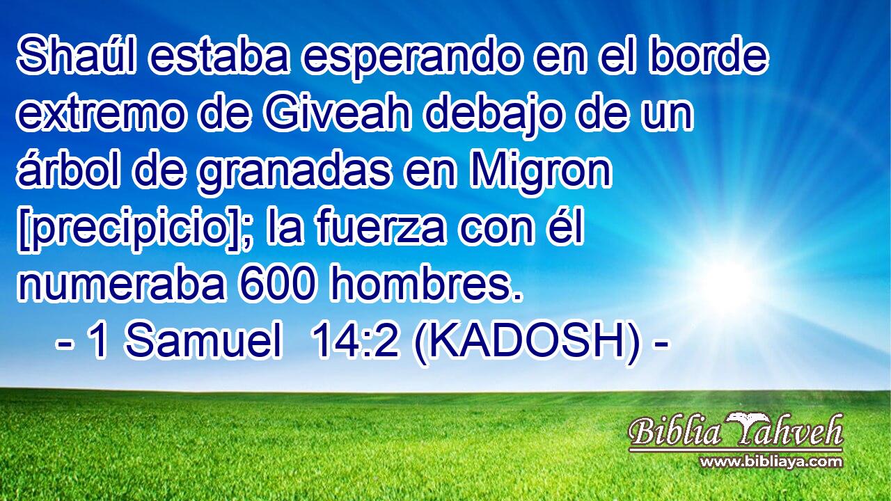  Shaúl estaba esperando en el borde extremo de Giveah debajo de un árbol de granadas en Migron [precipicio]; la fuerza con él numeraba 600 hombres. 