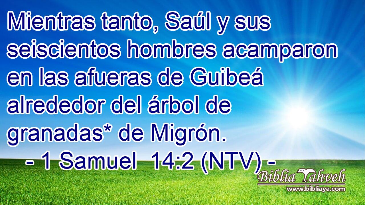 Mientras tanto, Saúl y sus seiscientos hombres acamparon en las afueras de Guibeá alrededor del árbol de granadas* de Migrón.