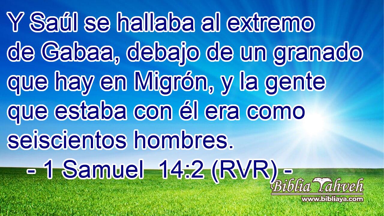 Y Saúl se hallaba al extremo de Gabaa, debajo de un granado que hay en Migrón, y la gente que estaba con él era como seiscientos hombres.