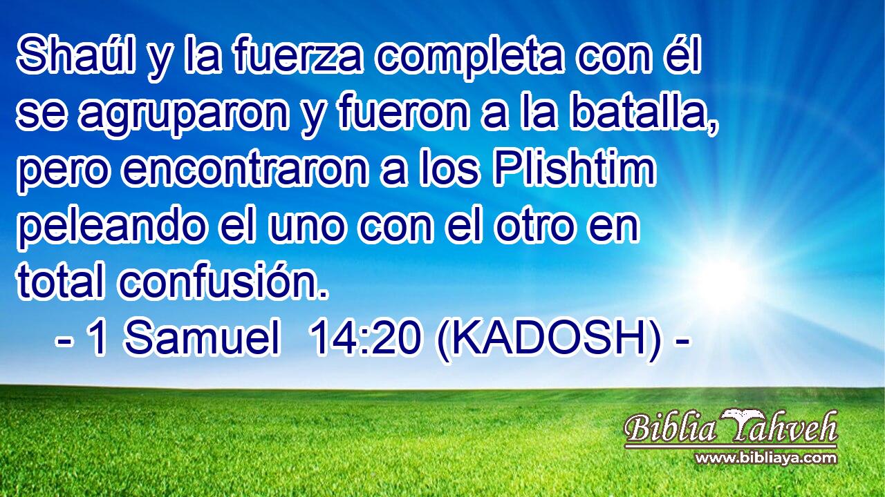  Shaúl y la fuerza completa con él se agruparon y fueron a la batalla, pero encontraron a los Plishtim peleando el uno con el otro en total confusión. 