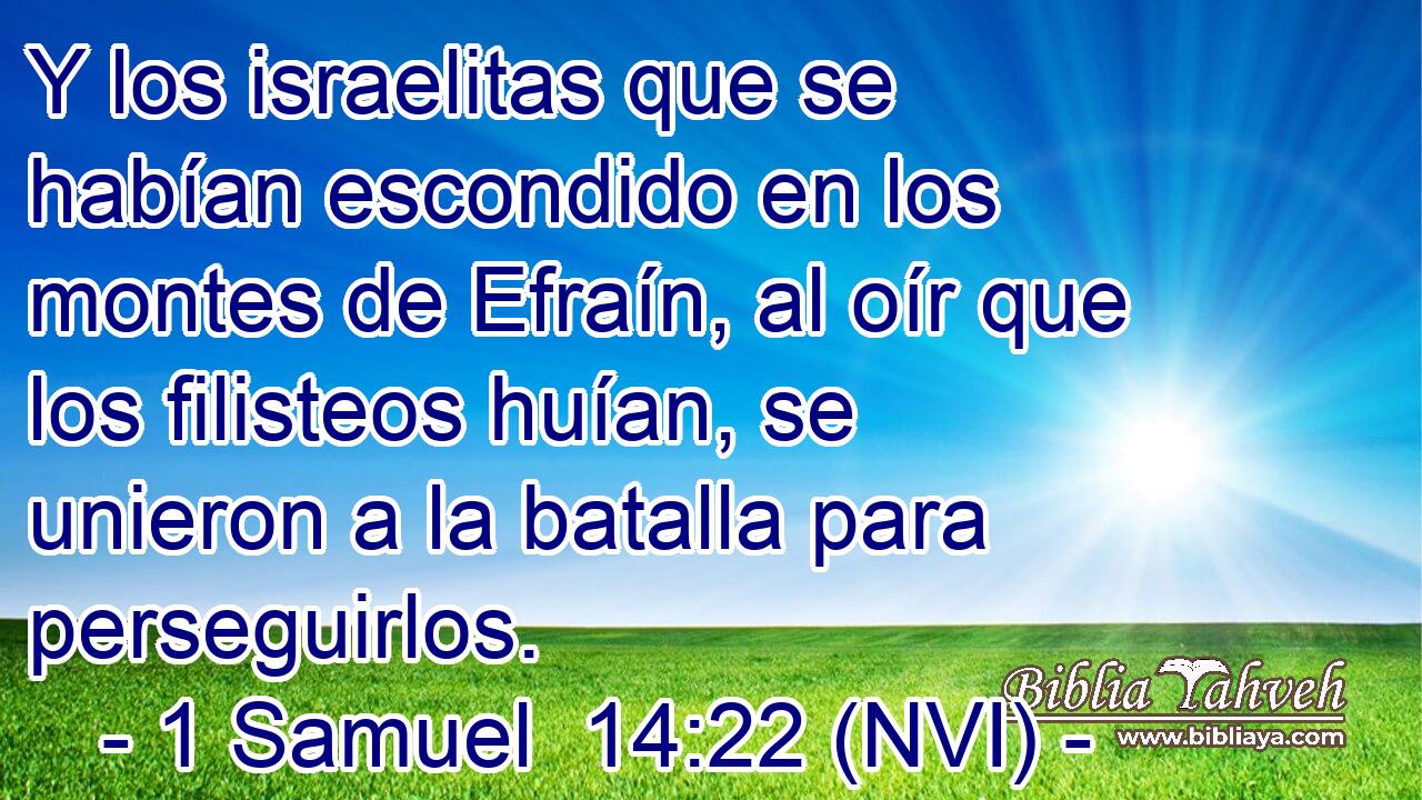  Y los israelitas que se habían escondido en los montes de Efraín, al oír que los filisteos huían, se unieron a la batalla para perseguirlos. 